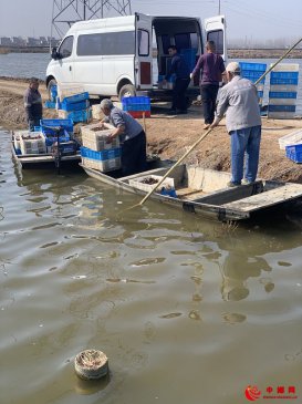 <b>安徽省五河县头铺镇宇繁种养殖合作社充分发挥合作社带贫减贫作用助力贫困户</b>