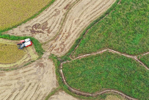 <b>“瞰”秋收</b>