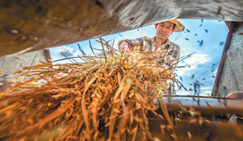 <b>毫不放松抓好秋季农业生产</b>