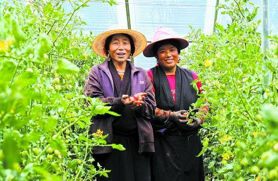 <b>道孚沟尔普村“变形记”</b>