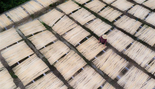 <b>楠竹撑起致富梦</b>