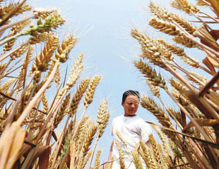 <b>耕好节粮减损的“无形良田”（微观）</b>