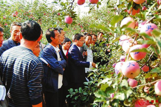 推科学种植 助果农增收