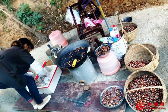 <b>重庆巫山建平板栗丰收农民乐</b>