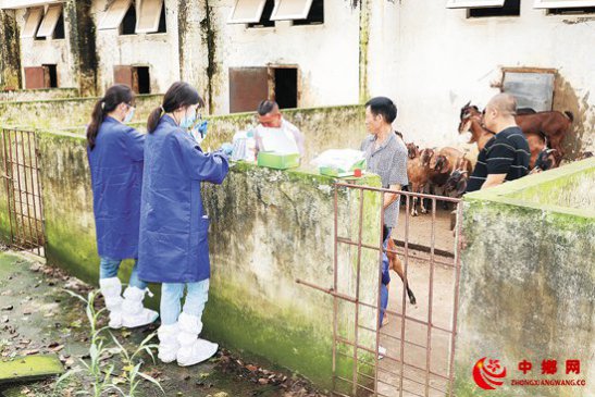 青年教师不能做服务“三农”的局外人