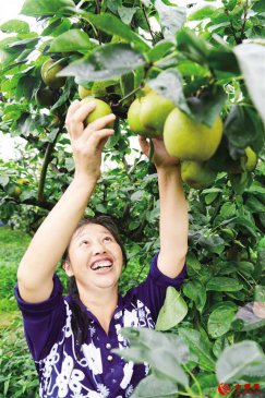 <b>重庆渝北13个乡镇街道新建10万亩经果林 农民喜迎丰收节</b>