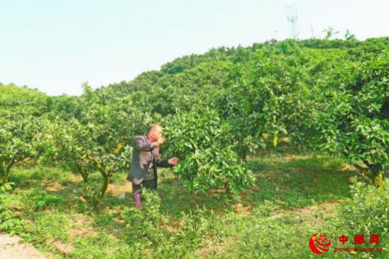 <b>以点带面 激“活”乡村产业</b>