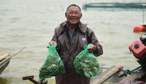 安徽五河：秋风起 蟹丰收