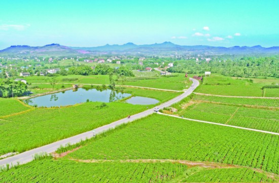 <b>农村交通铺就全面小康路</b>