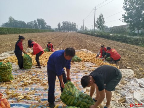 <b>安徽省魏岗镇：文明实践志愿红助力人居环境整治</b>