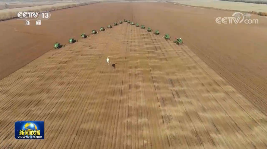 <b>风吹稻浪秋意浓 哈大线上话丰收</b>