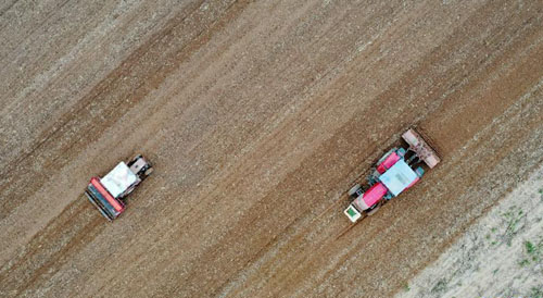 <b>寒露时节麦播忙</b>