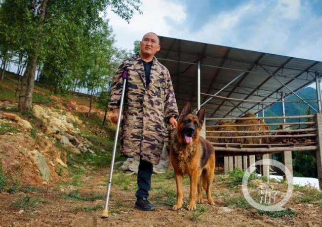 <b>“独脚”羊倌曹贤辉：腿残了靠双手脱贫年入10万</b>