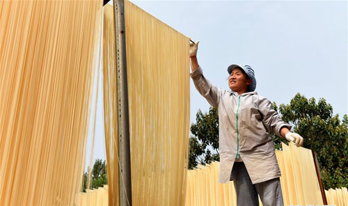 <b>河北威县：挂面飘香促农增收</b>