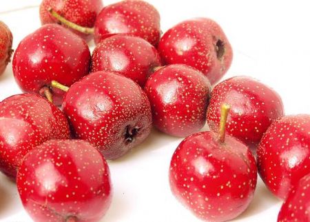 <b>大山楂丸五不宜</b>