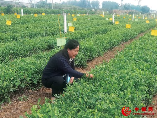 提升品质从绿色做起 提升品质从绿色做起