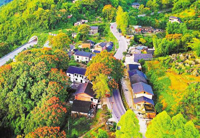 <b>修复矿山生态 重现乡村美景</b>