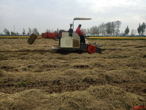 <b>安徽省怀远县兰桥乡联合村贫困户秋收秋种“三优先”</b>