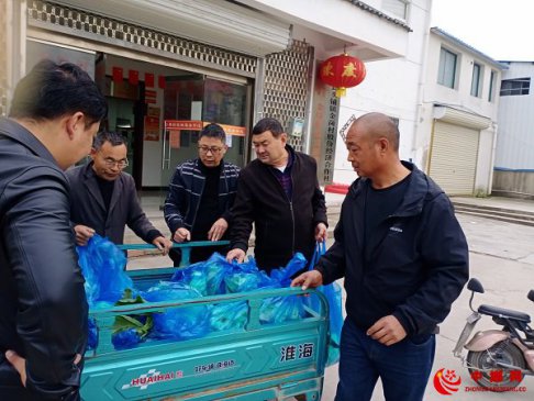 <b>安徽省五河县头铺镇--“花”点精力，“菜”能脱贫</b>