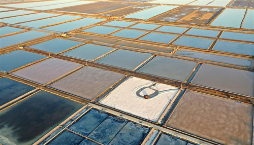 <b>山东青岛：千亩盐田收获忙</b>