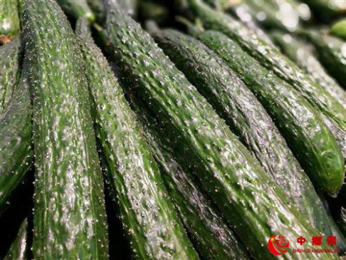 种“高端黄瓜”打品牌