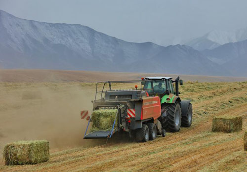 祁连山下燕麦草收获忙