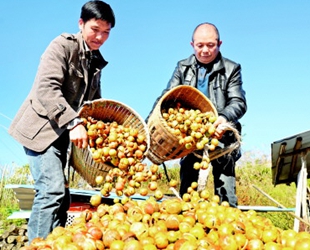 <b>荒山上的“绿色银行”</b>