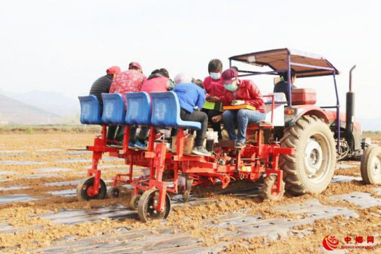 生产机械化 推动陕西中药材高质量发展