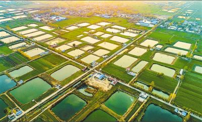 <b>生态治理 助农增收</b>