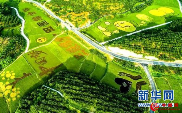 重庆首个示范田园综合体忠县三峡橘乡下月开园