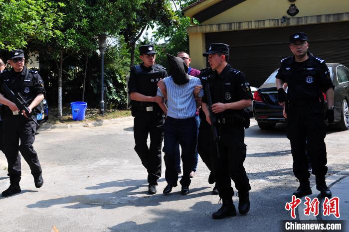 四川绵阳杨顺昌涉黑案：垄断行业获利数亿“保