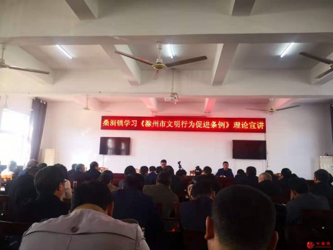 <strong>安徽省桑涧镇多措并举宣传《滁州市文明行为促</strong>