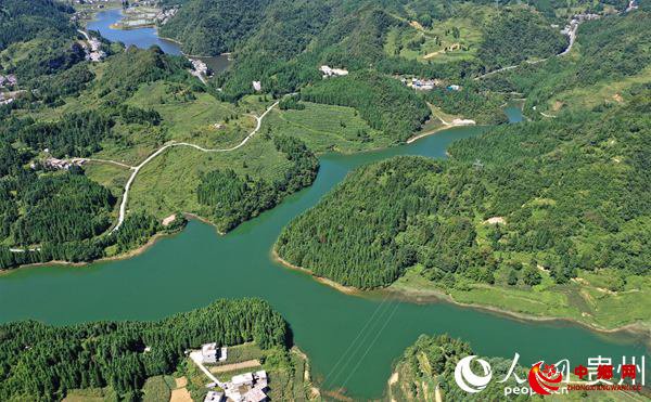 大方县长石镇猕猴桃基地绿水青山。周训贵 摄