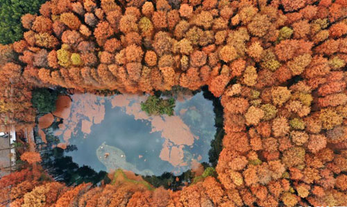 湖北武汉：初冬东湖