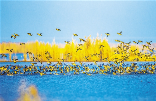 我国国家湿地公园总数达899处