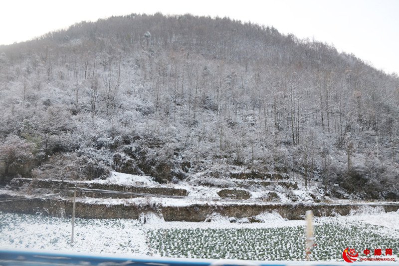 重庆巫山:雪恋云景似仙境