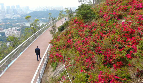 珠海：空中步道山间行