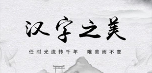 新语:追本溯源，传承汉字之美