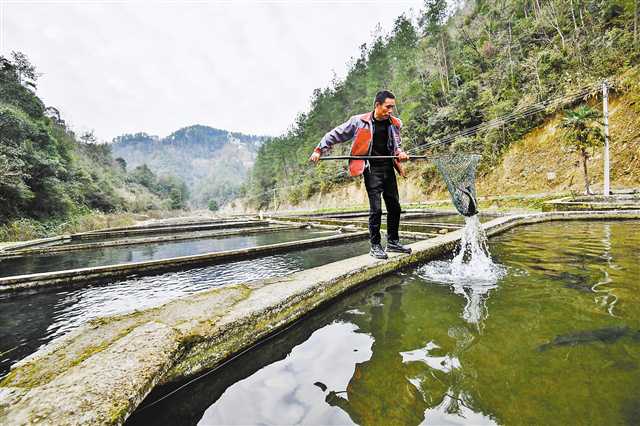 彭水大垭乡依托自然山水林地发展特色养殖业