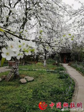 四川彭州市人游家乡的风景区--- 红岩梨花坪田园