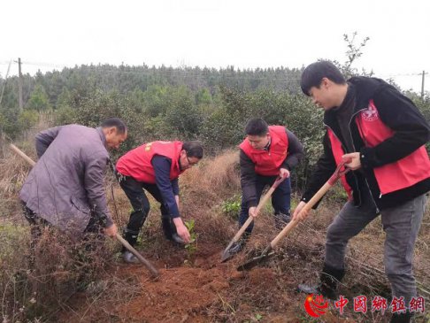 <strong>江西建山镇：植树节里植树忙</strong>