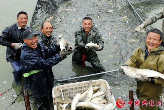 安徽颍东：水产业助农增收