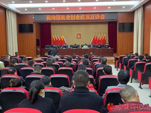 安徽：就业创业花沟镇在行动
