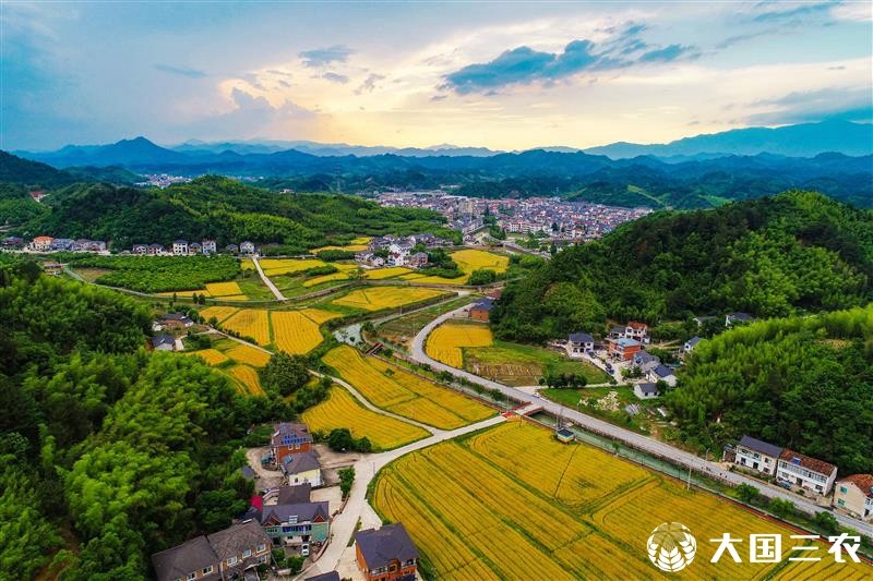 浙江省杭州市：美丽乡村 产业兴旺