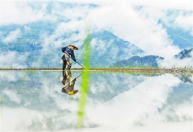 荒山荒坡“变身”景观梯田