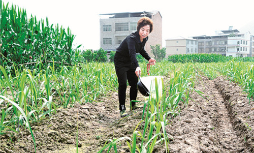 重庆开州：种下“甜甘蔗”过上“好日子”