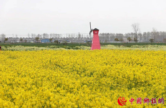 做强美丽经济 助力乡村振兴
