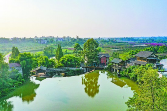 广安华蓥市禄市镇：画里乡村 花海人家