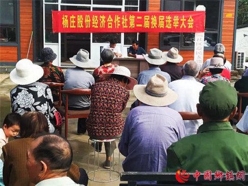 郯城：股民当选民选好“理事人”