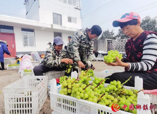 安徽颍东：特色产业助增收